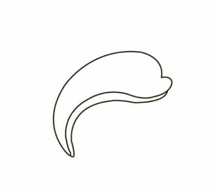 delfin-jaknarysowac2