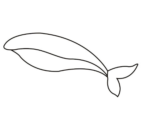 rekin-jaknarysowac3